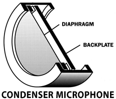 Diagram of diaphragm and backplate of a Condenser Microphone
