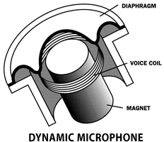Diagram of voice coil and magnet of Dynamic Microphone