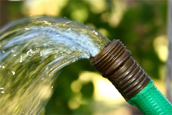 Garden hose pouring water